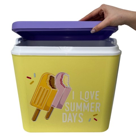 Lodówka CEGECO 24L Żółta wzór Lody Kamai Kamai COOLBOX
