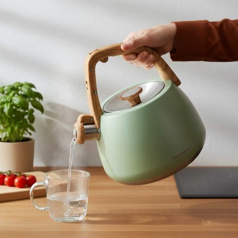 CZAJNIK STALOWY Z GWIZDKIEM 2,5L KLAUSBERG KB-9039 PISTACJOWY