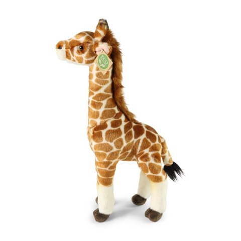 Rappa - Pluszowa realistyczna maskotka Żyrafa 42 cm Eco-Friendly