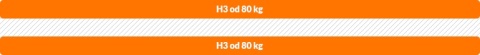 Materac Multipocket pianka HR i kokos Feniks 80x200x23 SilverActive
