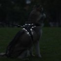 PETLOVE Szelki pojedyncze LED dla psa M czarne [SZELLEDZMBK]