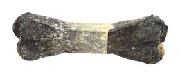 BIOFEED EUPHORIA COD SKIN BONE FISH Kość ze skórą dorsza 12cm