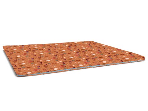  mata  Psie Historie  95x60 (orange Wodoodporny)