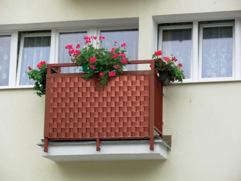 Taśma ogrodzeniowa 50mb Thermoplast® CLASSIC LINE 4,75cm SZARA PROTECTO