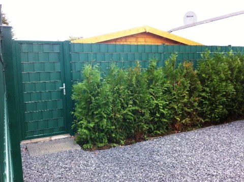 Taśma ogrodzeniowa ROLKA 26mb CLASSIC 19cm PROTECTO™ ZIELONA PROTECTO